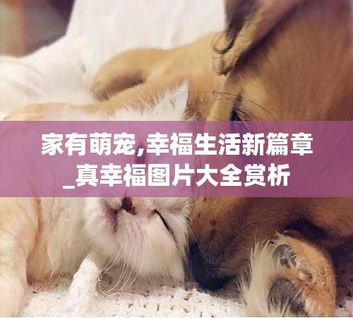 家有萌宠,幸福生活新篇章_真幸福图片大全赏析