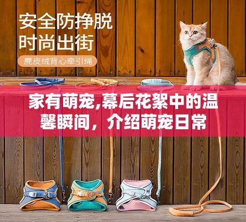 家有萌宠,幕后花絮中的温馨瞬间,介绍萌宠日常