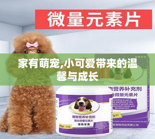 家有萌宠,小可爱带来的温馨与成长