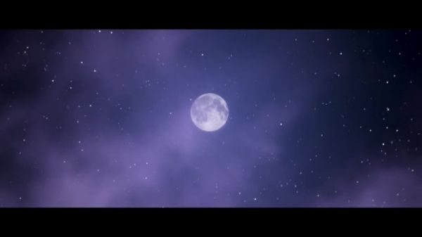 黑色沙漠少女的宠物狗：探险伙伴与战斗伙伴的完美结合