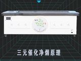 全自动三元催化净烟抚阳艾灸床