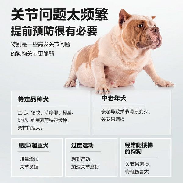 NOURSE 卫仕 宠物狗狗关节舒 160片