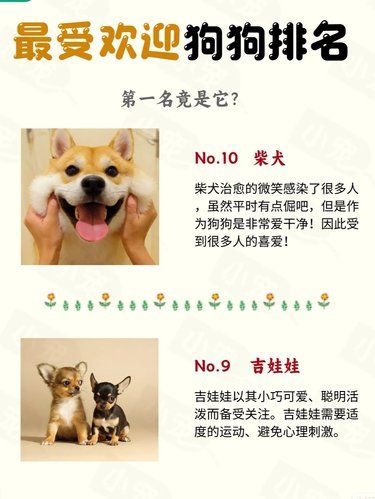看看哪些狗狗受欢迎吧❗
