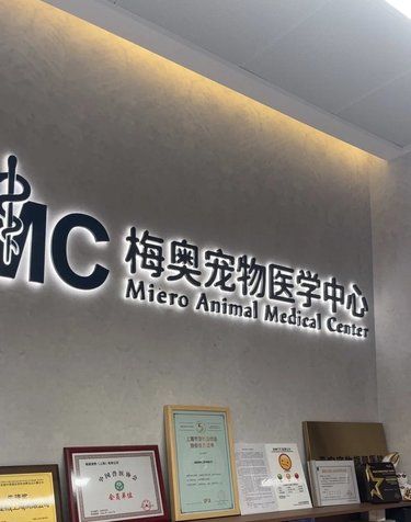 梅奥宠物医院真的超nice!