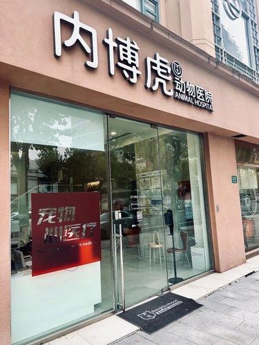宠物健康的守护者