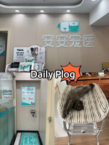 小p打疫苗的一天