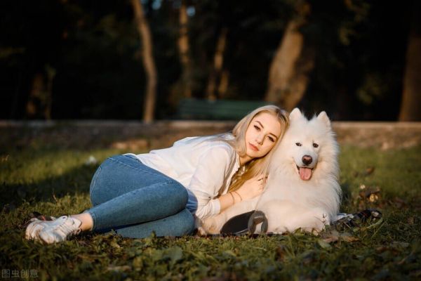 狗狗超全清洁攻略，内附详细教程养狗必备技能