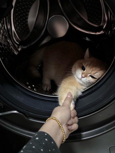孩子像我…就是犟！