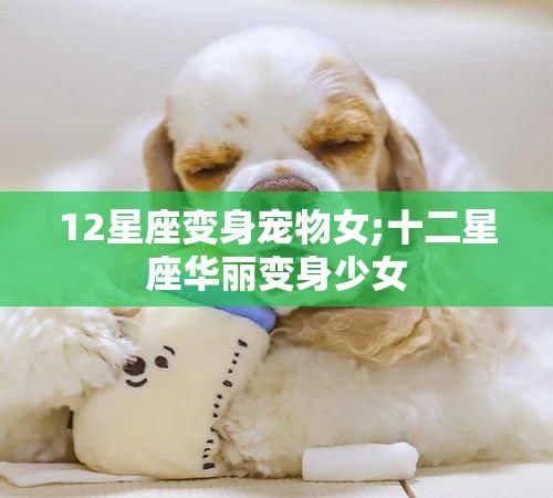 12星座变身宠物女;十二星座华丽变身少女