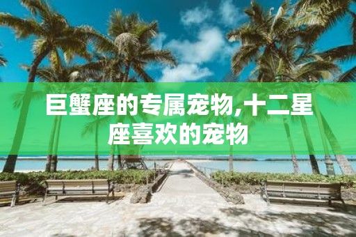 巨蟹座的专属宠物,十二星座喜欢的宠物