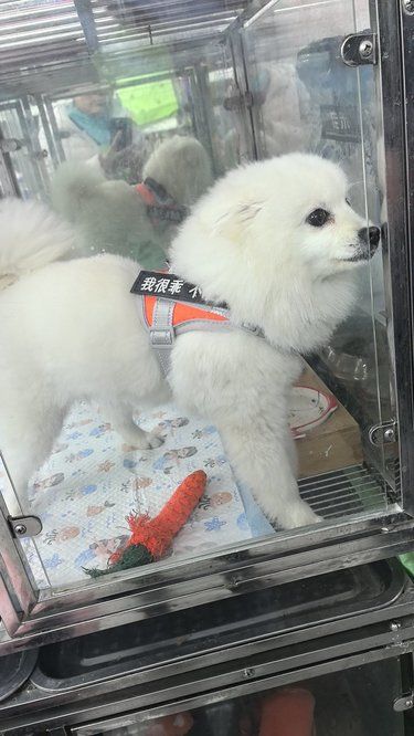 快乐