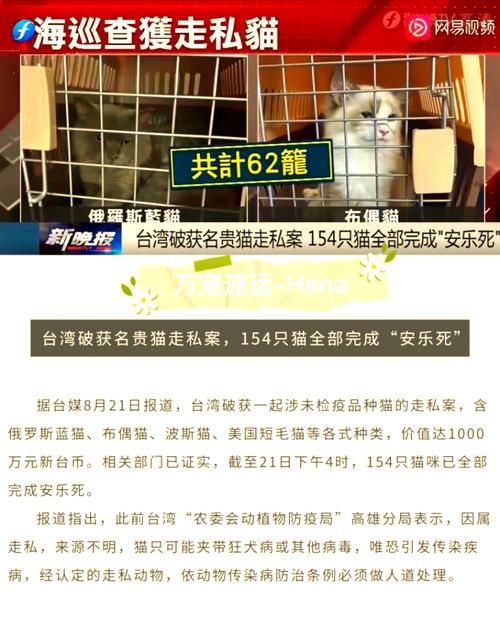 宠物安乐死（宠物安乐死在中国合法吗）