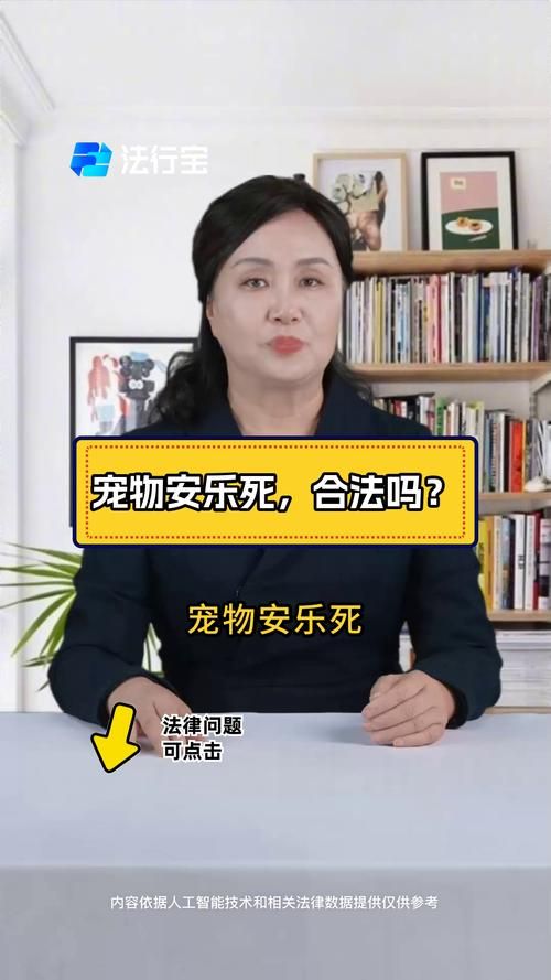 宠物安乐死（宠物安乐死在中国合法吗）