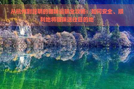 从杭州到昆明的猫咪运输全攻略：如何安全、顺利地将猫咪送往目的地