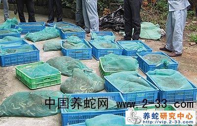  蛇类的运输