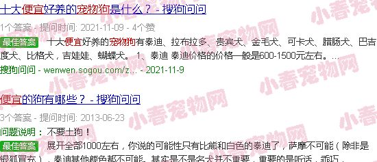 便宜小宠物狗