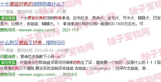 便宜好养的狗有哪些