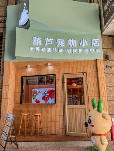 发现宝藏宠物小屋爱宠人士的不二选择