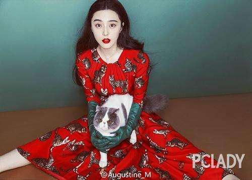 明星喜欢养什么宠物了，赵丽颖养了可爱的狗狗，陈乔恩养了蚕？