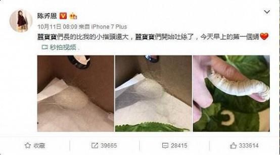 明星喜欢养什么宠物了，赵丽颖养了可爱的狗狗，陈乔恩养了蚕？
