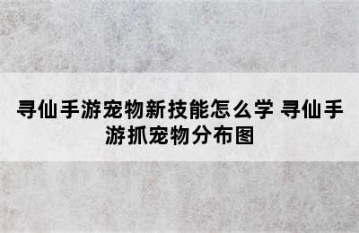 寻仙手游宠物新技能怎么学 寻仙手游抓宠物分布图