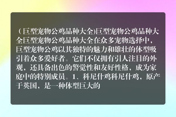 （巨型宠物公鸡品种大全)巨型宠物公鸡品种大全
