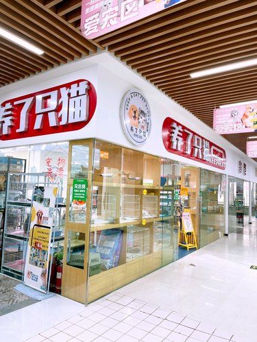 赞巴拉市场里的宠物店！！！