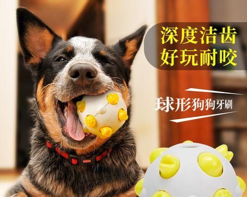 狗狗大便发绿怎么办（药物治疗绿便症状和饮食建议）
