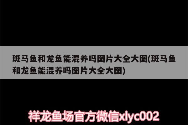 35cm鱼缸造景教程超详细视频（35x20x22鱼缸造景） 祥龙水族护理水 第3张
