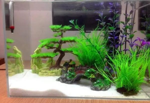 水草烂根常见原因与解决办法