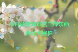 今日萌宠知识这三样东西会让犬害怕