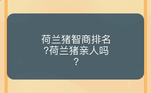 荷兰猪智商排名?荷兰猪亲人吗?