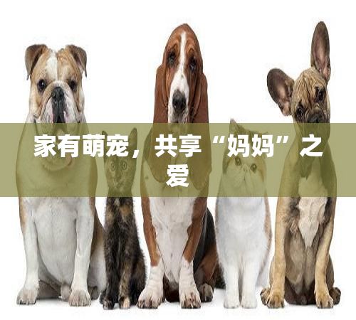 家有萌宠,共享“妈妈”之爱