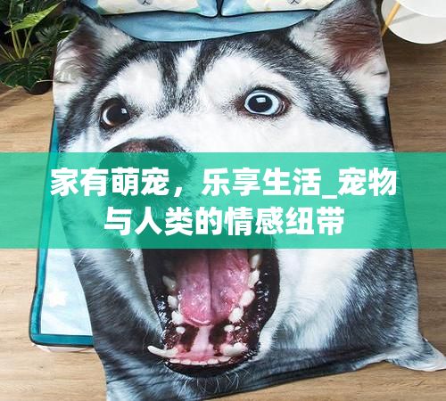 家有萌宠,乐享生活_宠物与人类的情感纽带