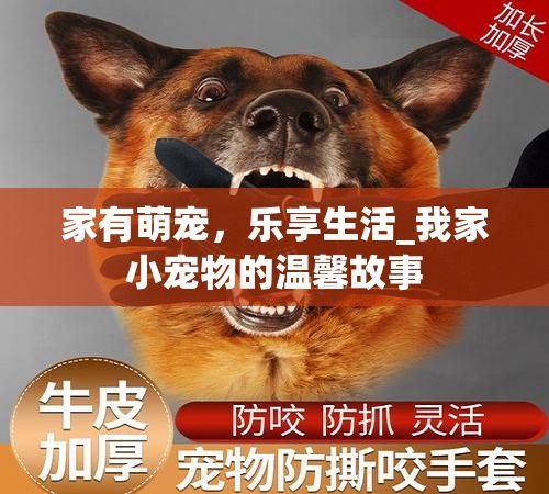 家有萌宠,乐享生活_我家小宠物的温馨故事