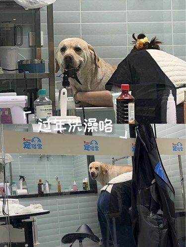 过年前洗澡啦