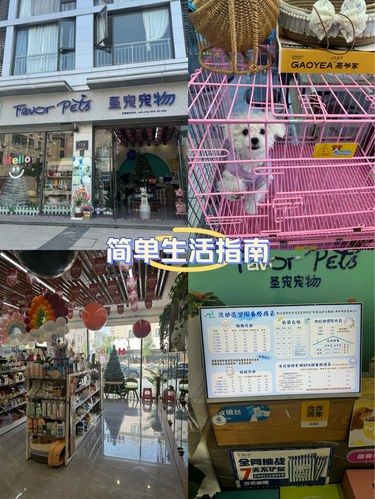 宠物店的暖心事