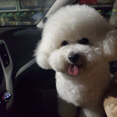洗完澡太可爱了吧！！！