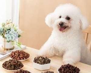 小狗狗补钙食谱大揭秘（健康宠物从骨头开始）