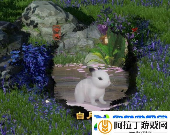 剑3白月皎宠物奇遇详细流程奖励一览