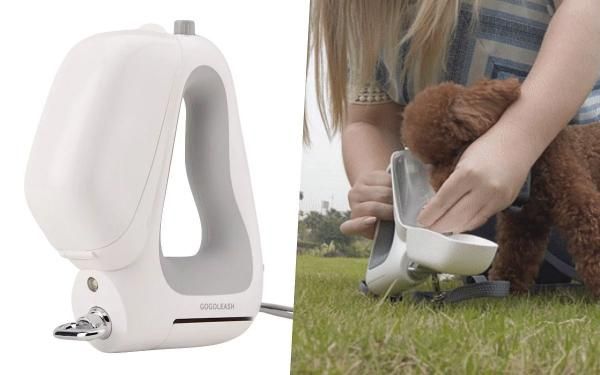 毛孩宠起来!精品系「宠物用品」TOP6推荐:零食、玩具、推车、洗毛精,宝贝家宠的必买神品