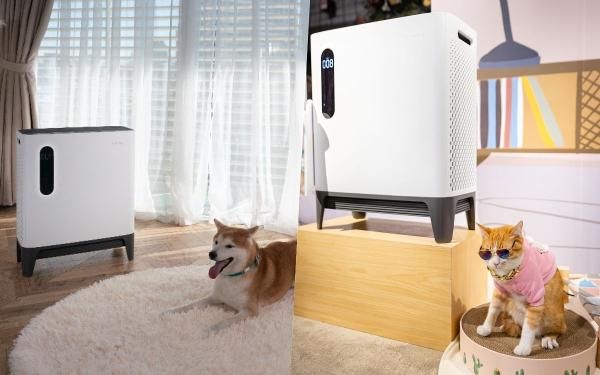 毛孩宠起来!精品系「宠物用品」TOP6推荐:零食、玩具、推车、洗毛精,宝贝家宠的必买神品