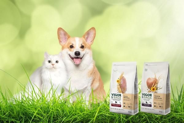 毛孩宠起来!精品系「宠物用品」TOP6推荐:零食、玩具、推车、洗毛精,宝贝家宠的必买神品