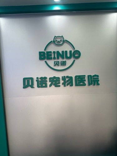 十三跳楼治疗记