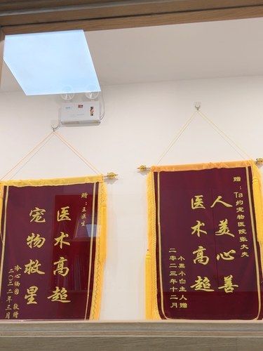 狗狗生病了还是要来医院呀！！！