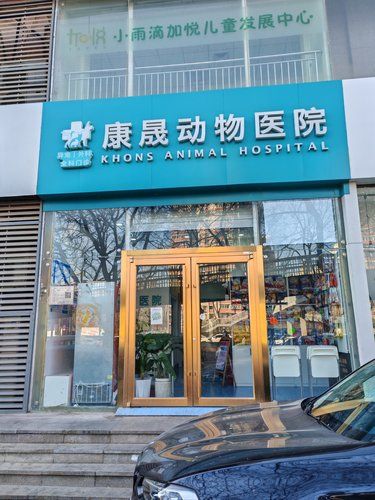 北三环西坝河附近的朋友们有福了！