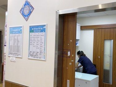 带着毛孩子体检的一天
