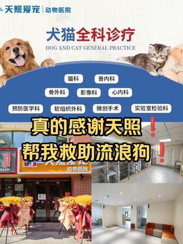 果然还是好人多❗感谢天照爱宠帮我救助流浪狗❗