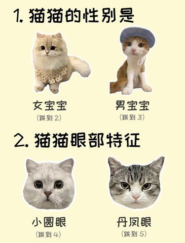 超准猫咪性格测试[点赞]