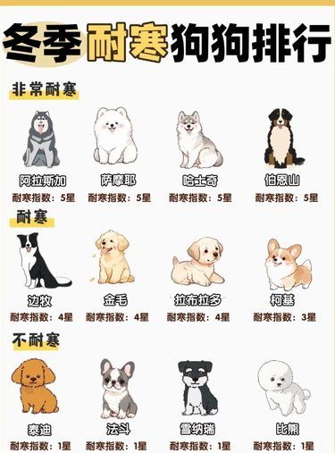冬天快要来了！保暖小技巧